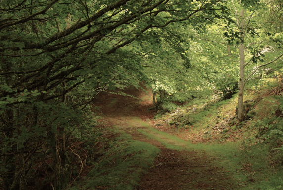 El Priorato_Rutas, actividades y puntos de interés_2