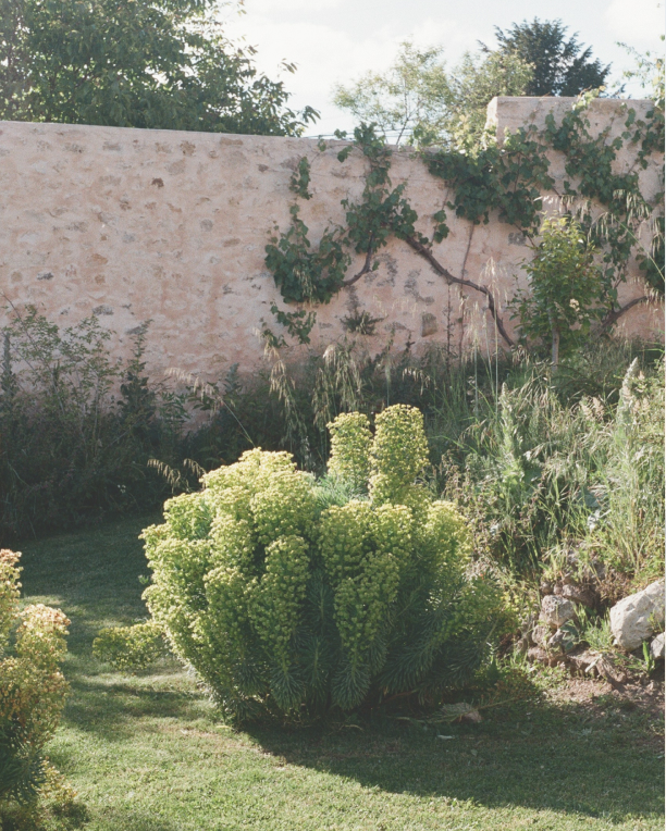 El Priorato_history_section_4_file_1