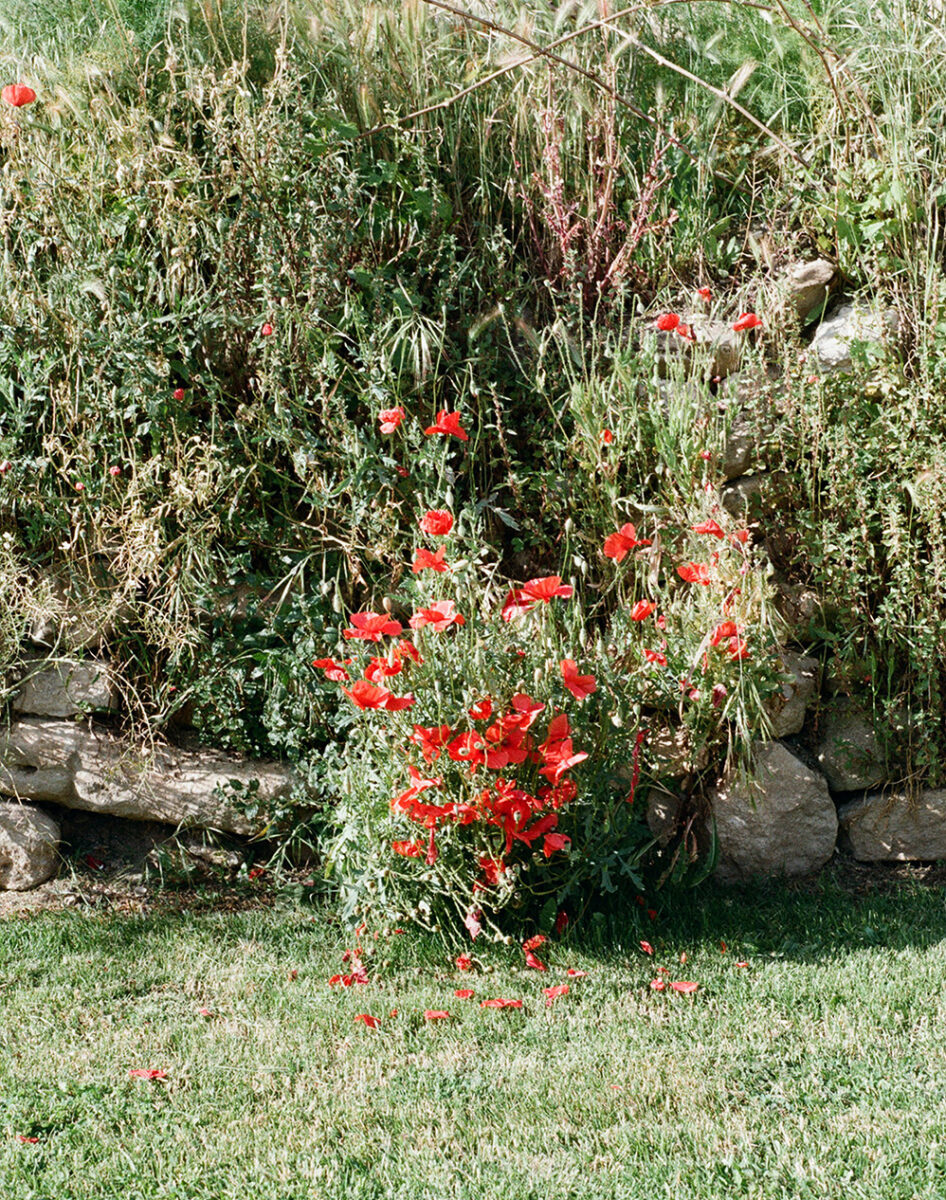 El Priorato_history_section_8_file_1